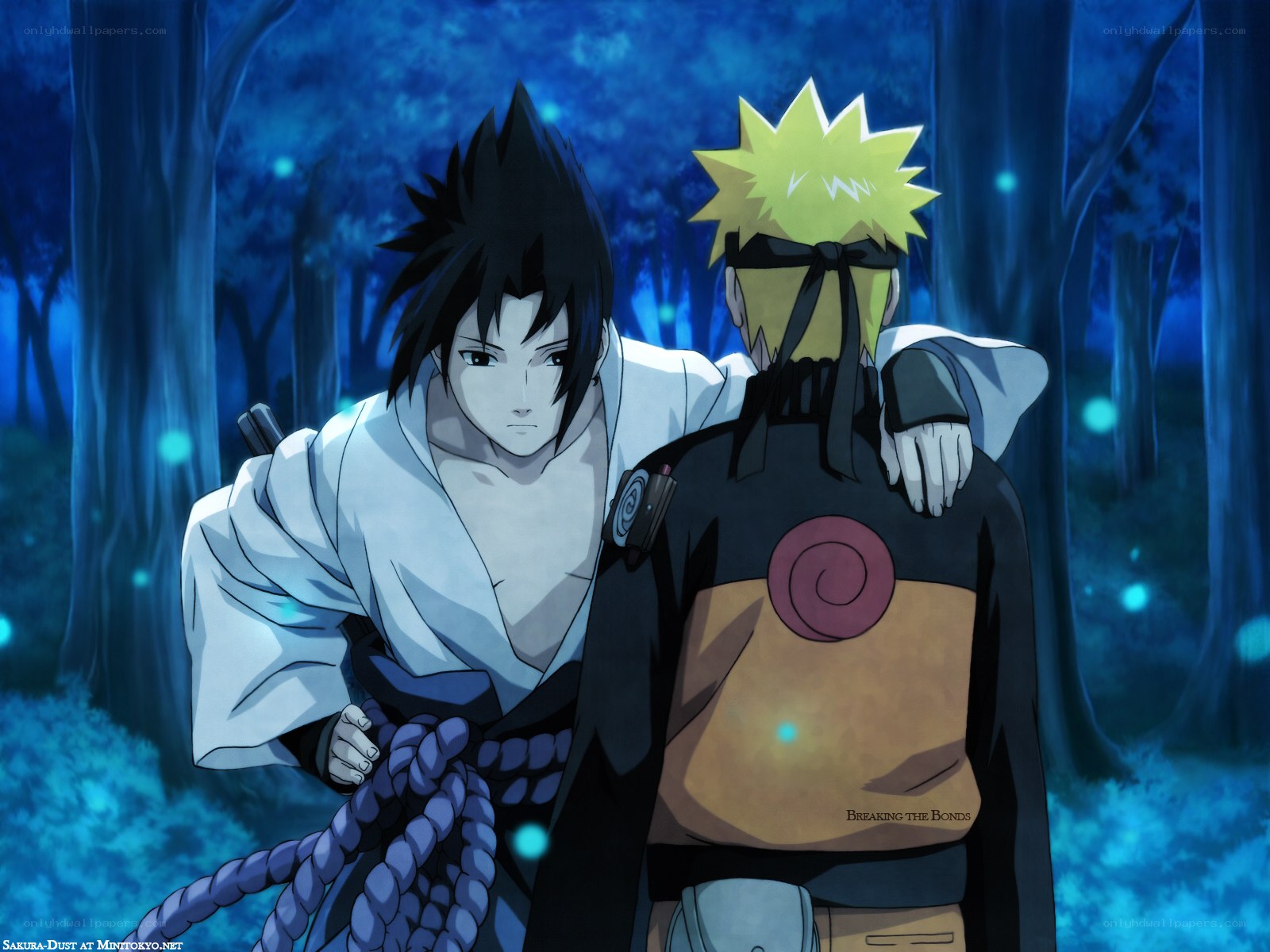 Naruto and Sasuke in the forest