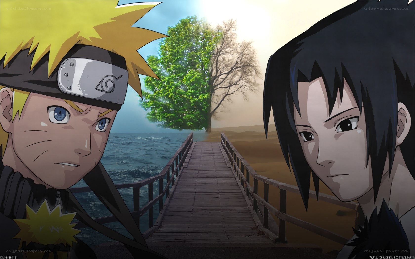 Naruto and Sasuke on a bridge