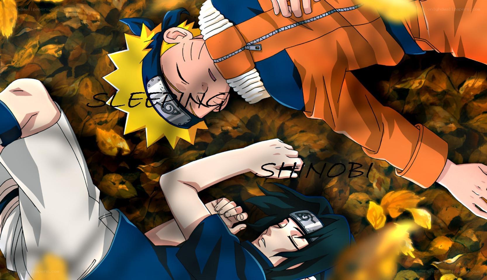 Naruto and Sasuke sleeping