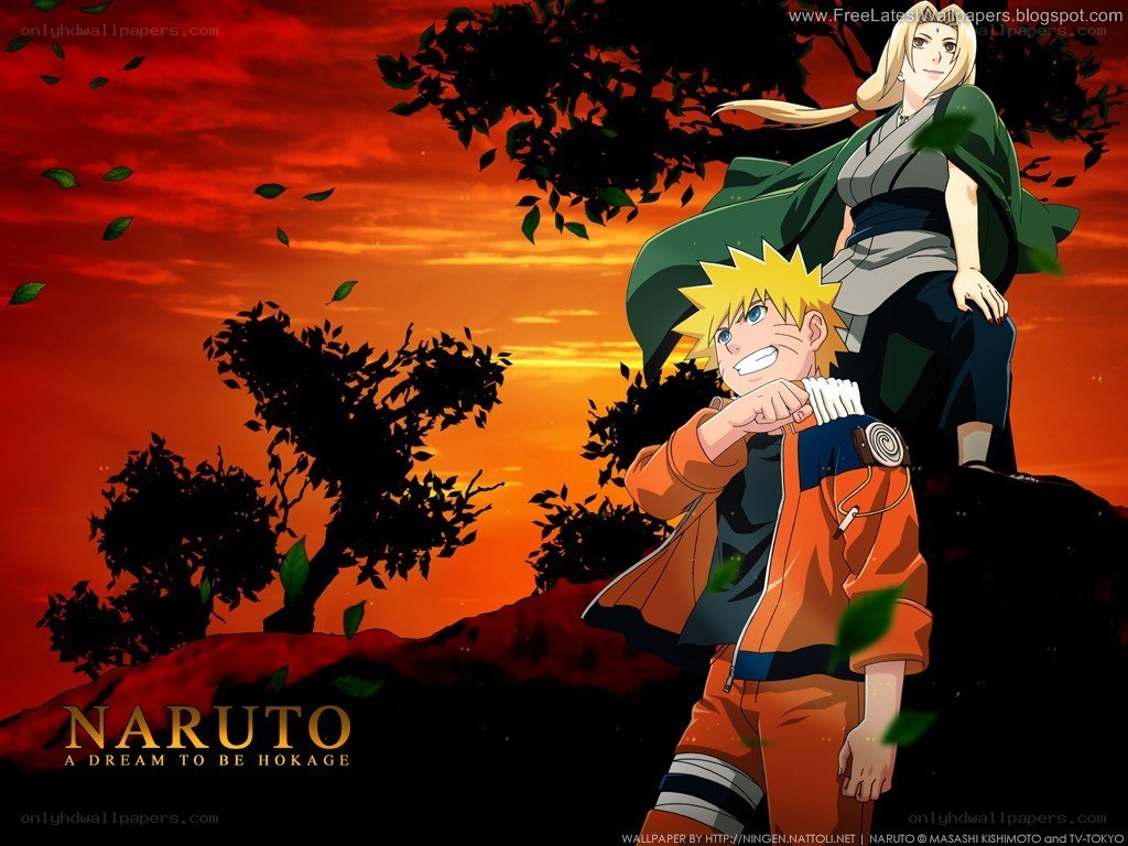 Naruto and Tsunade at sunset
