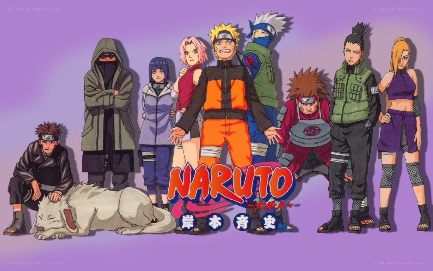 Naruto anime cast group