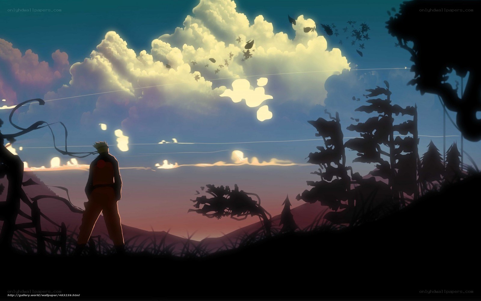 Naruto at sunset