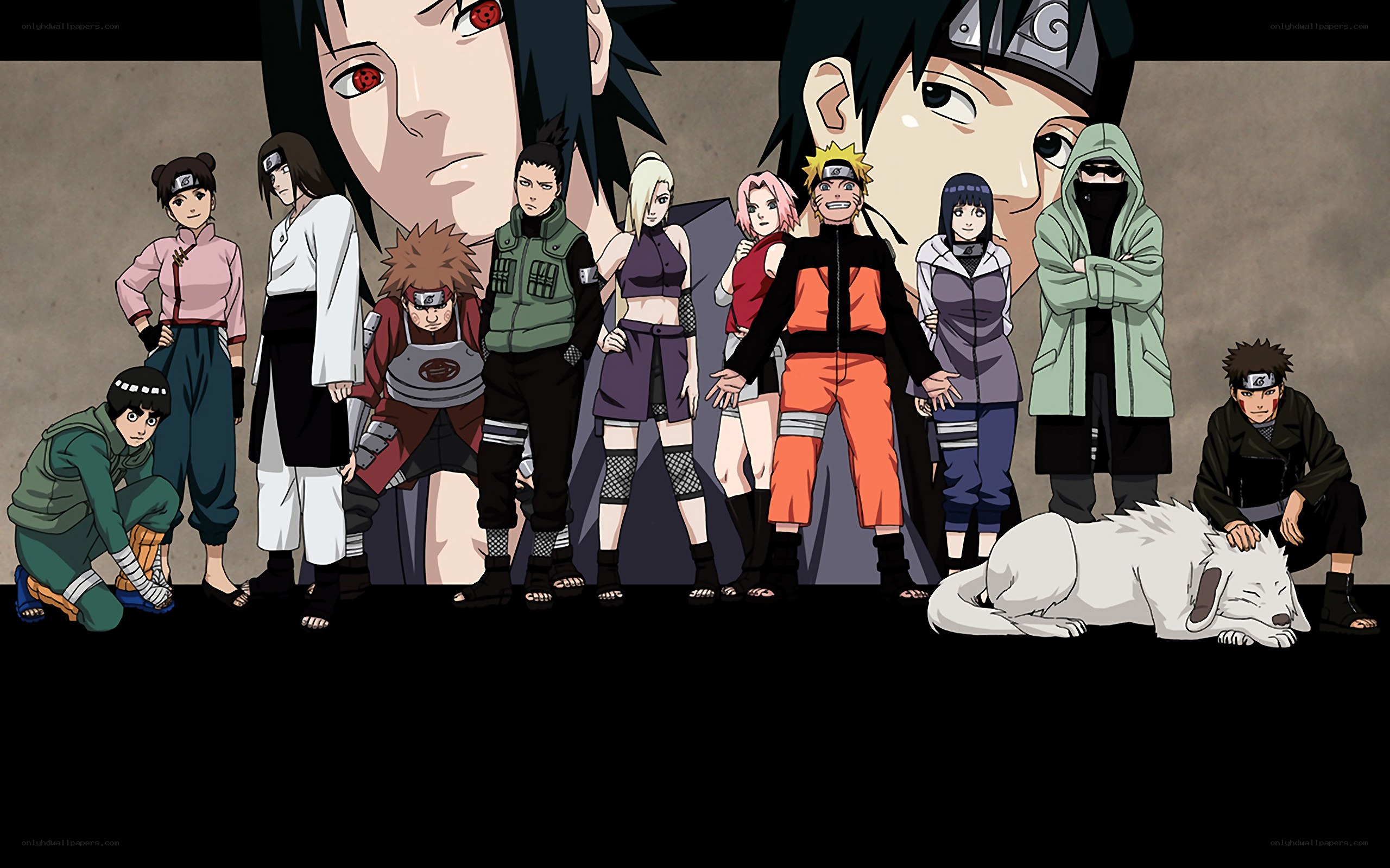 Naruto cast group portrait