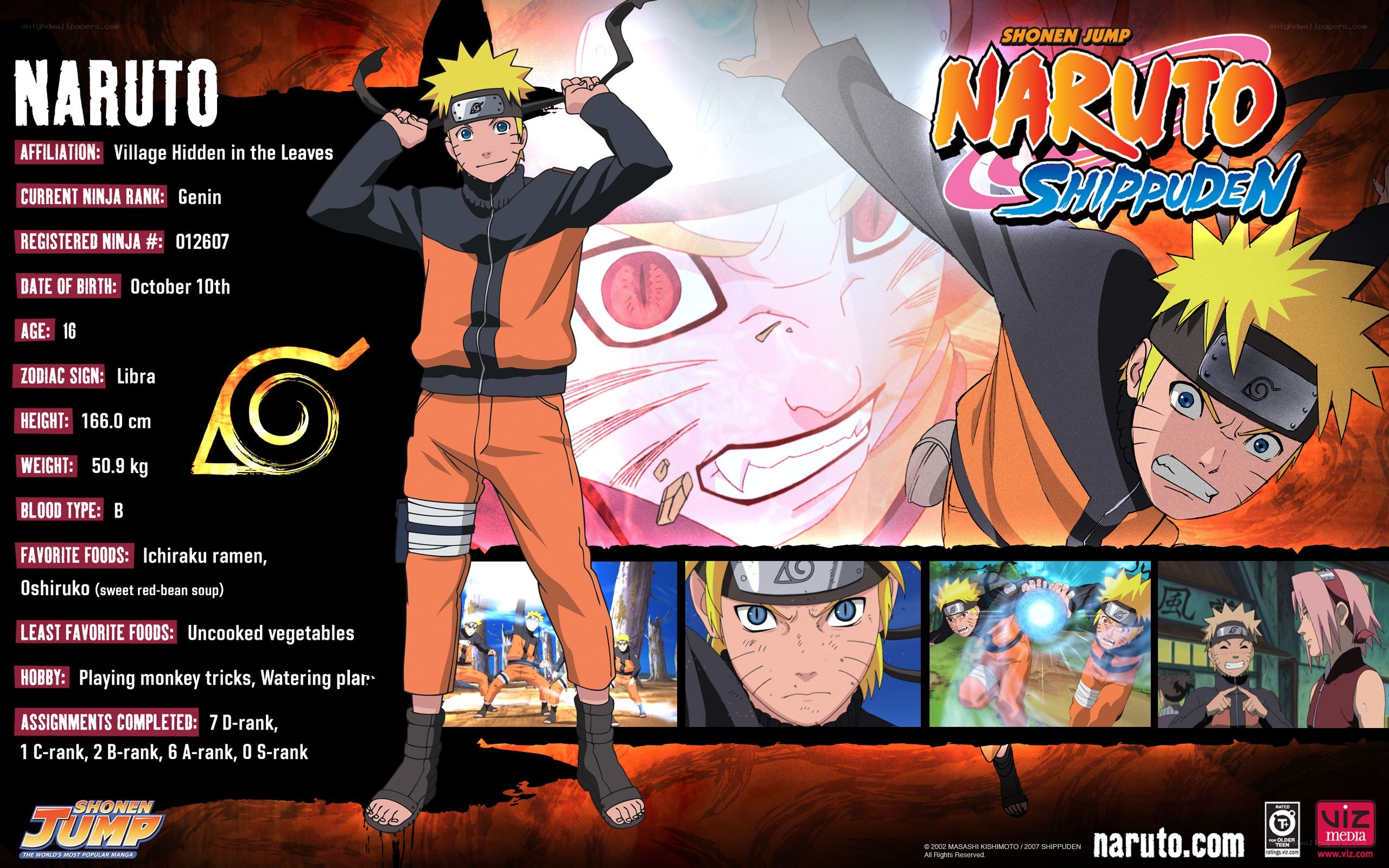 Naruto character profile