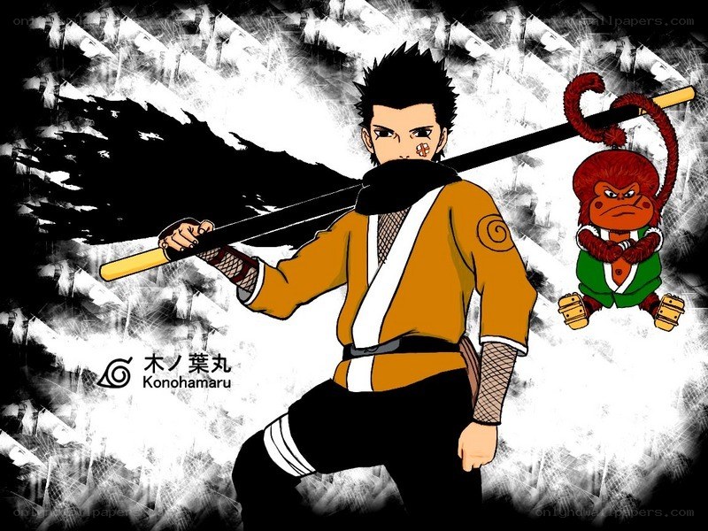 Naruto character with monkey