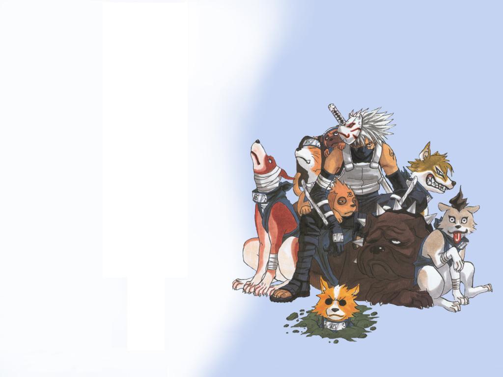 Naruto characters with ninja dogs