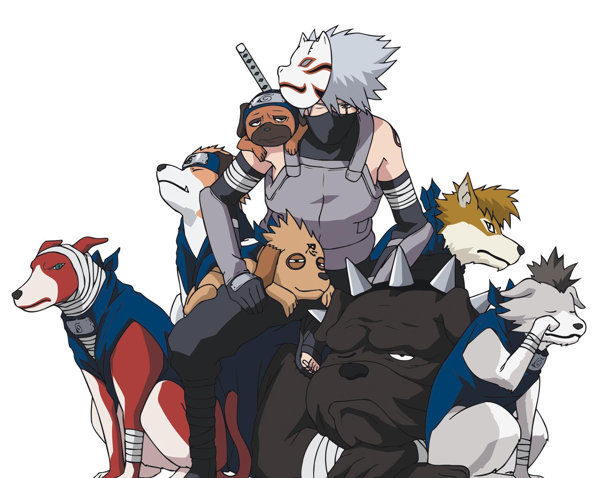 Naruto characters with ninja dogs