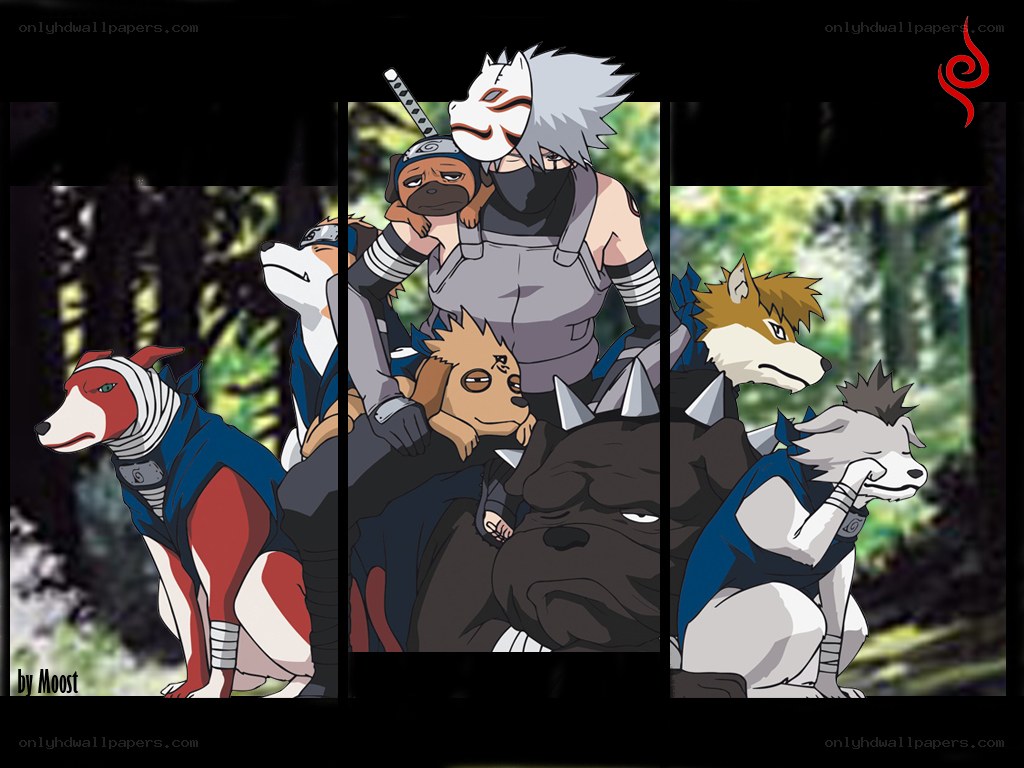 Naruto characters with ninja dogs