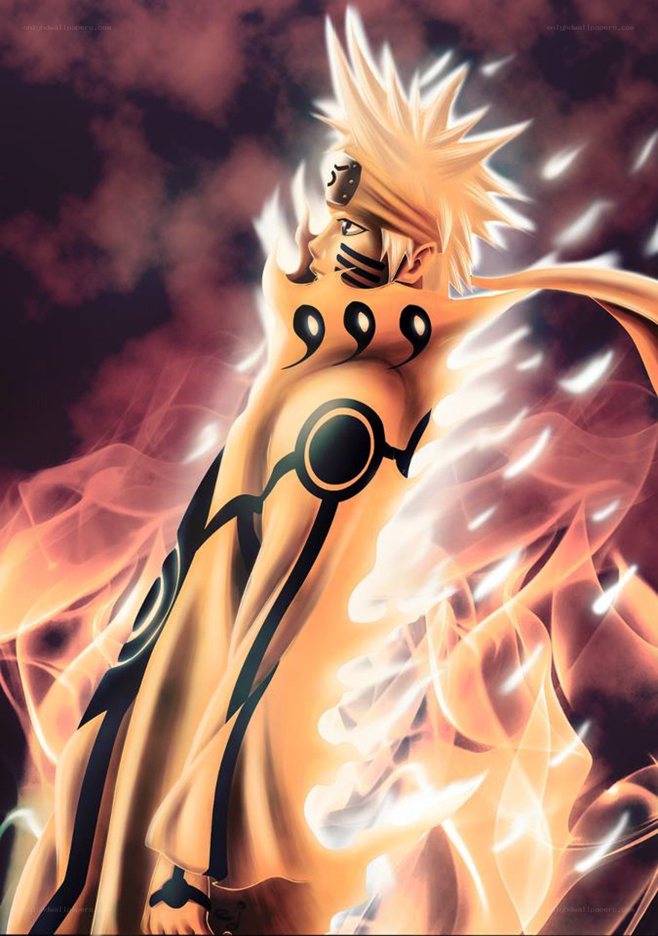 Naruto in Nine-Tails Mode