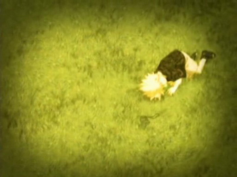 Naruto lying on grass