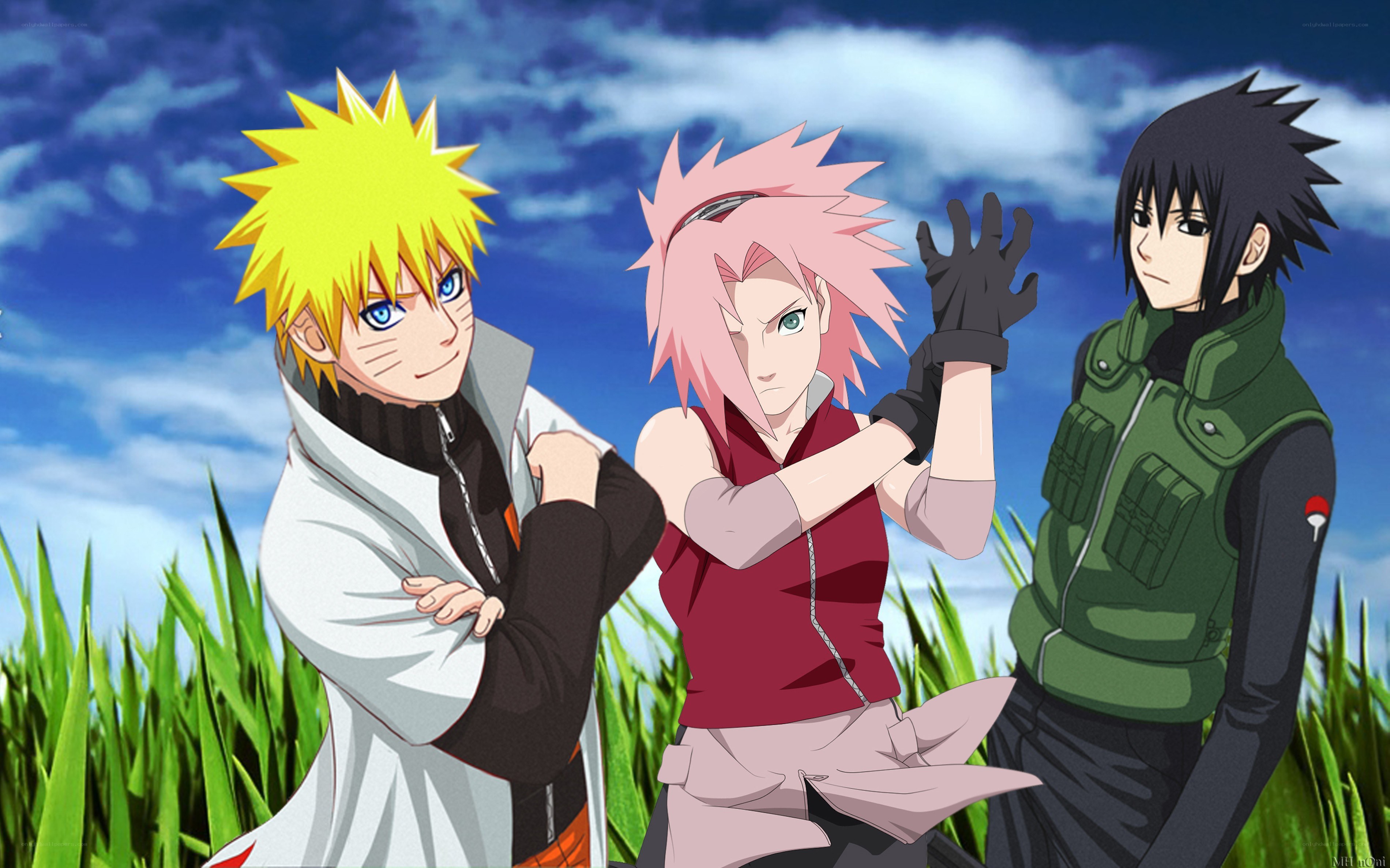 Naruto, Sakura, and Sasuke in a field