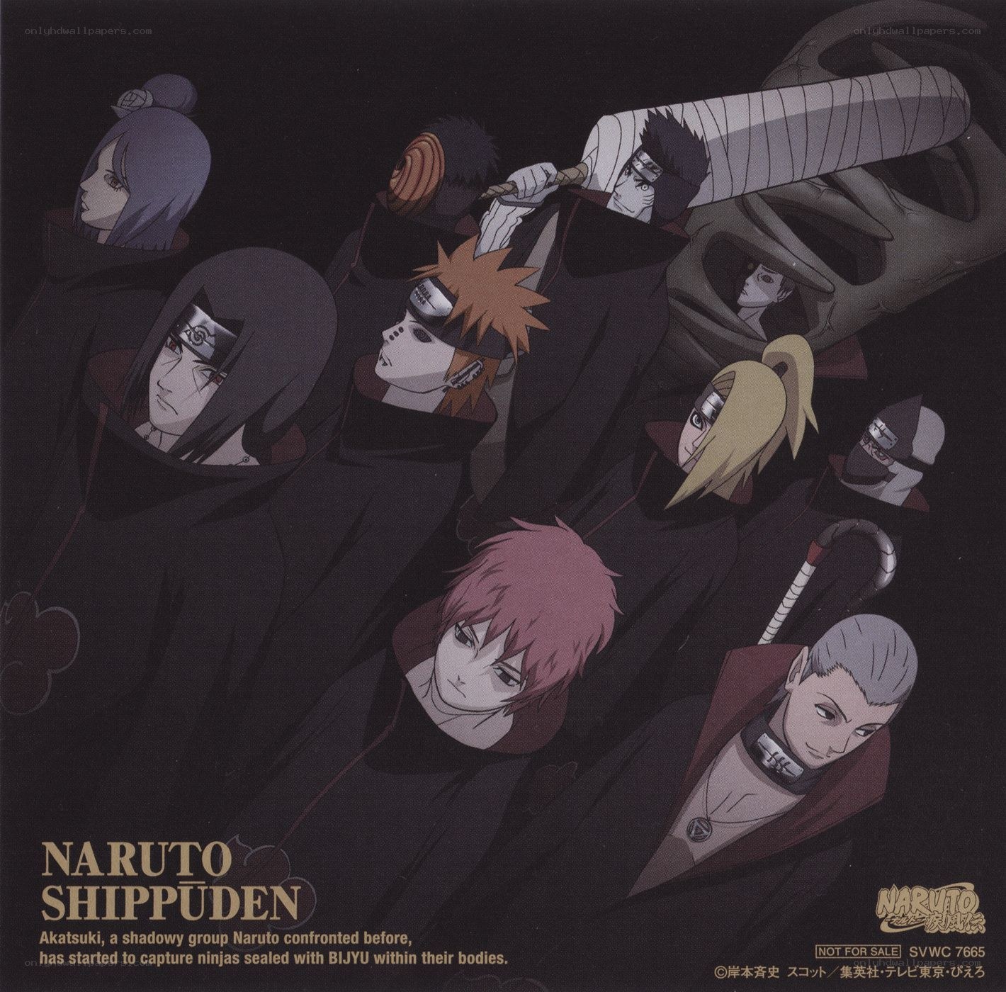 Naruto Shippuden Akatsuki group