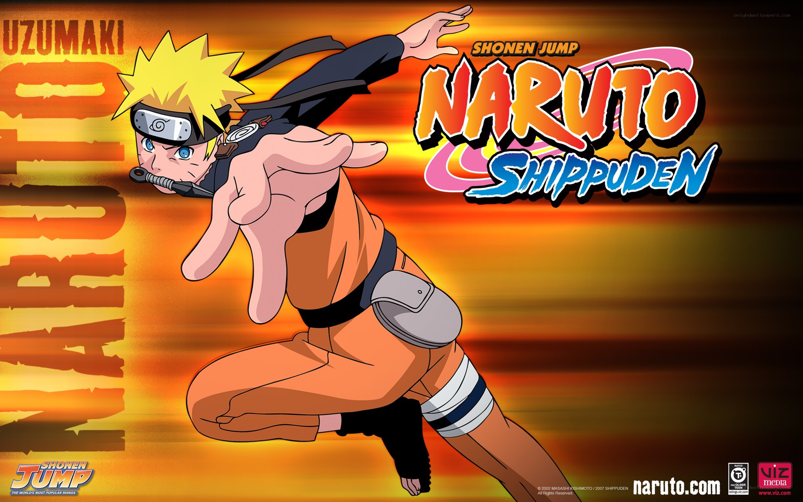 Naruto Shippuden character art