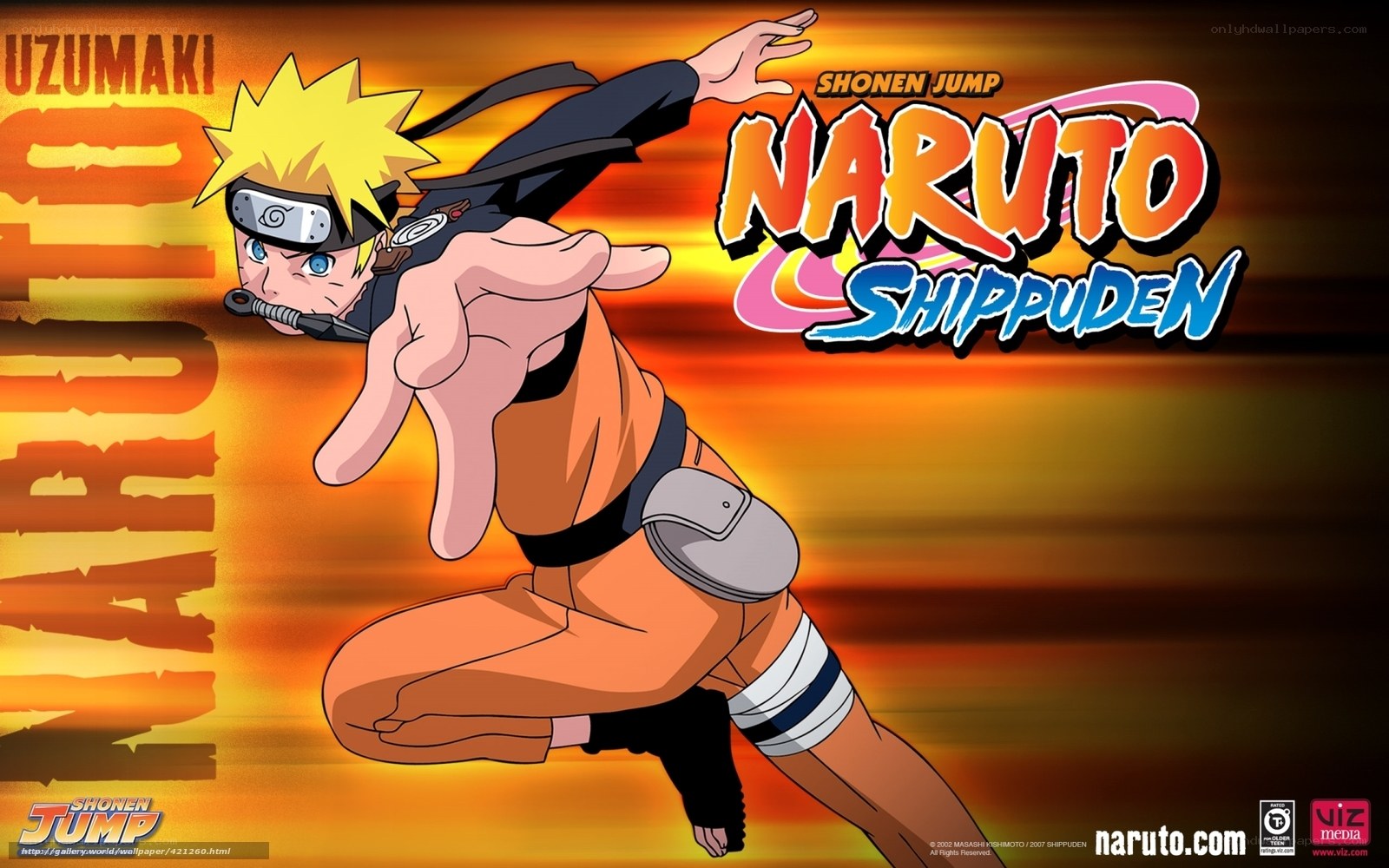 Naruto Shippuden character art