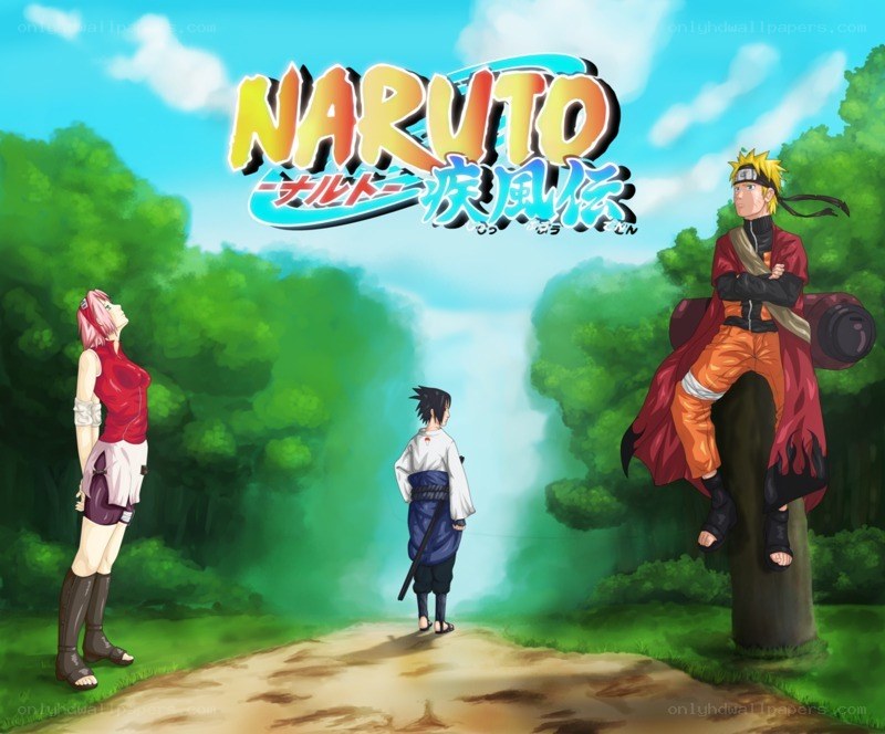 Naruto Shippuden characters in forest