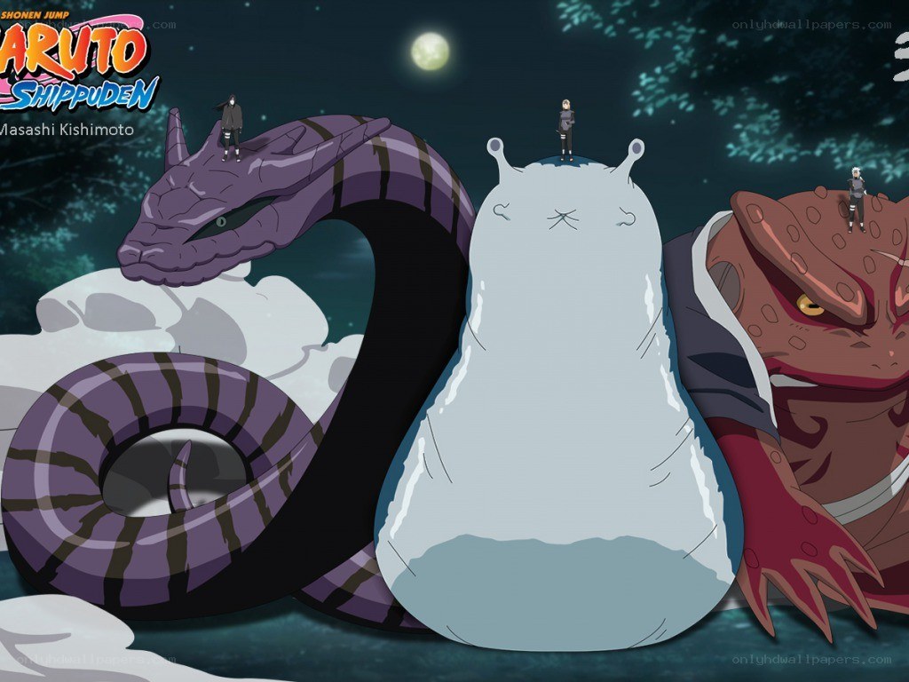 Naruto Shippuden characters with tailed beasts