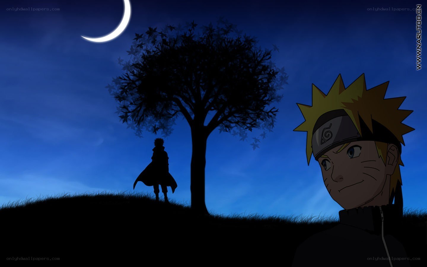 Naruto under the moonlight