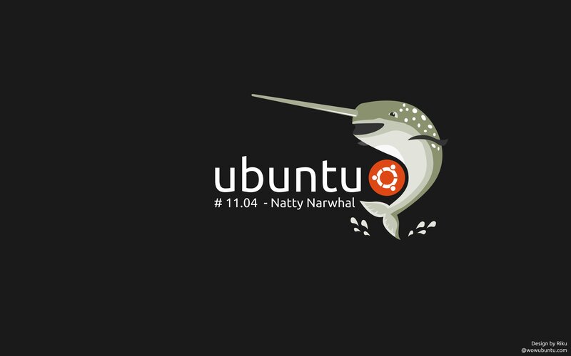 Narwhal Logo