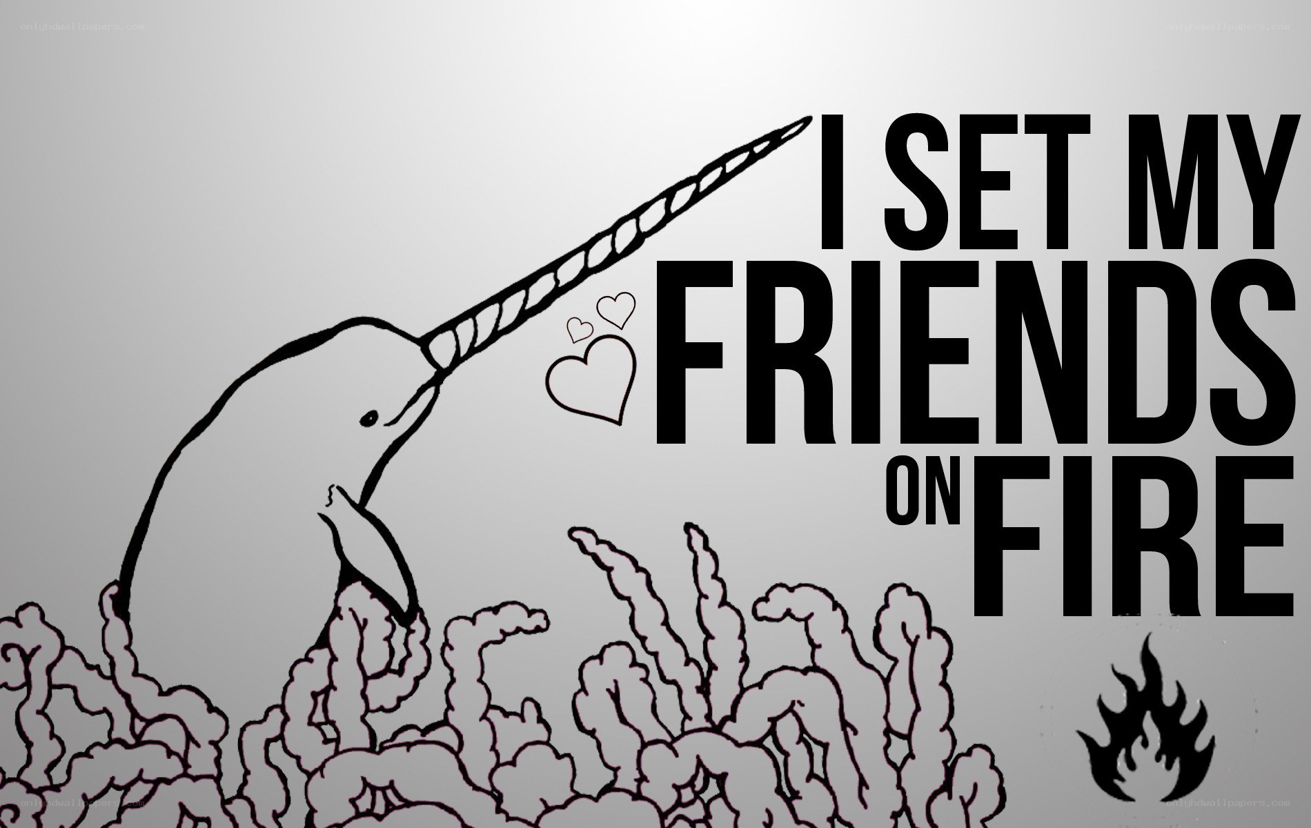 narwhal sets friends on fire