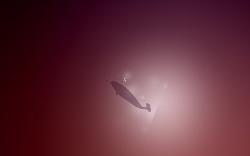 narwhal silhouette in red water