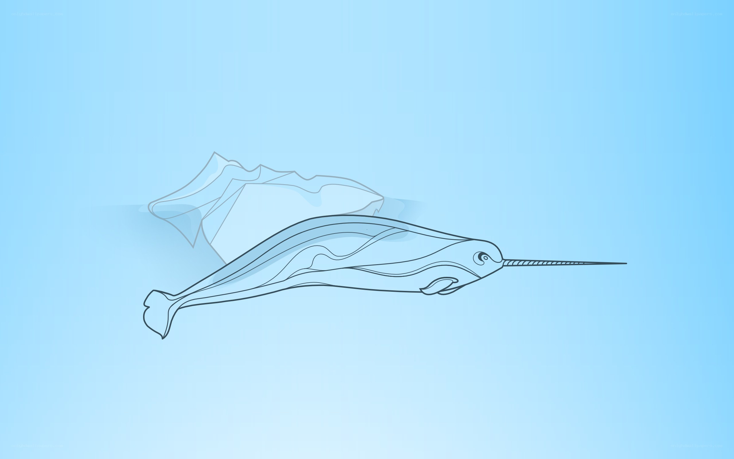 Narwhal swimming underwater