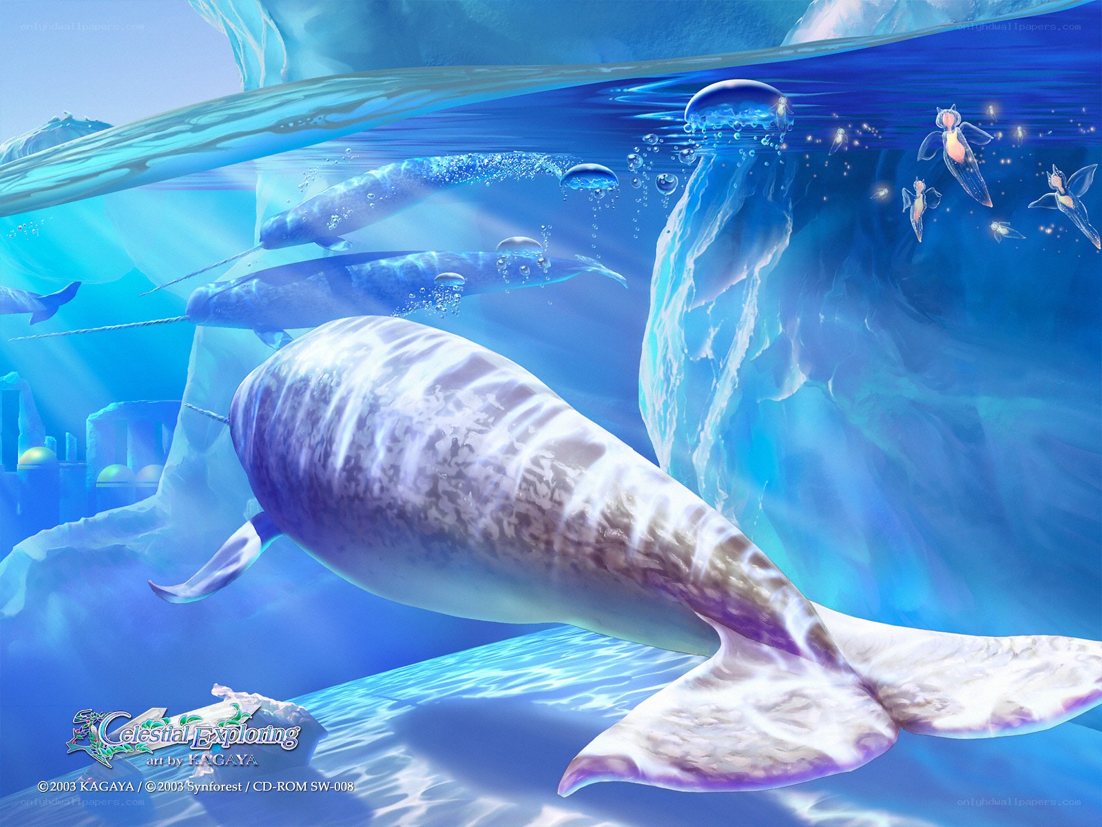Narwhals in an icy ocean