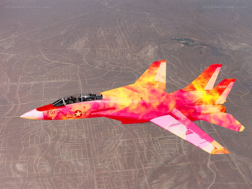 NASA jet with flame design