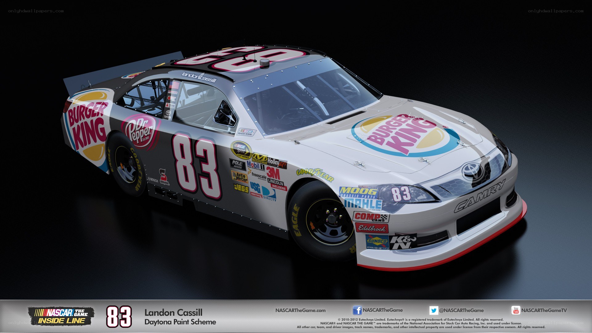 NASCAR race car paint scheme