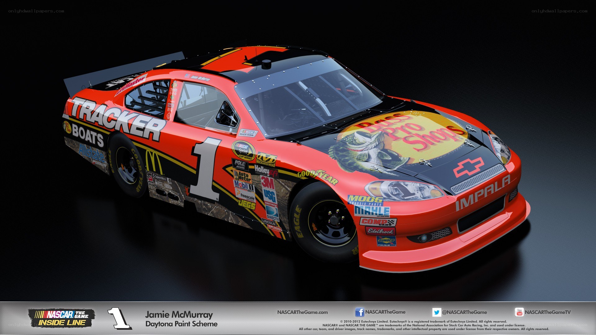 NASCAR race car paint scheme
