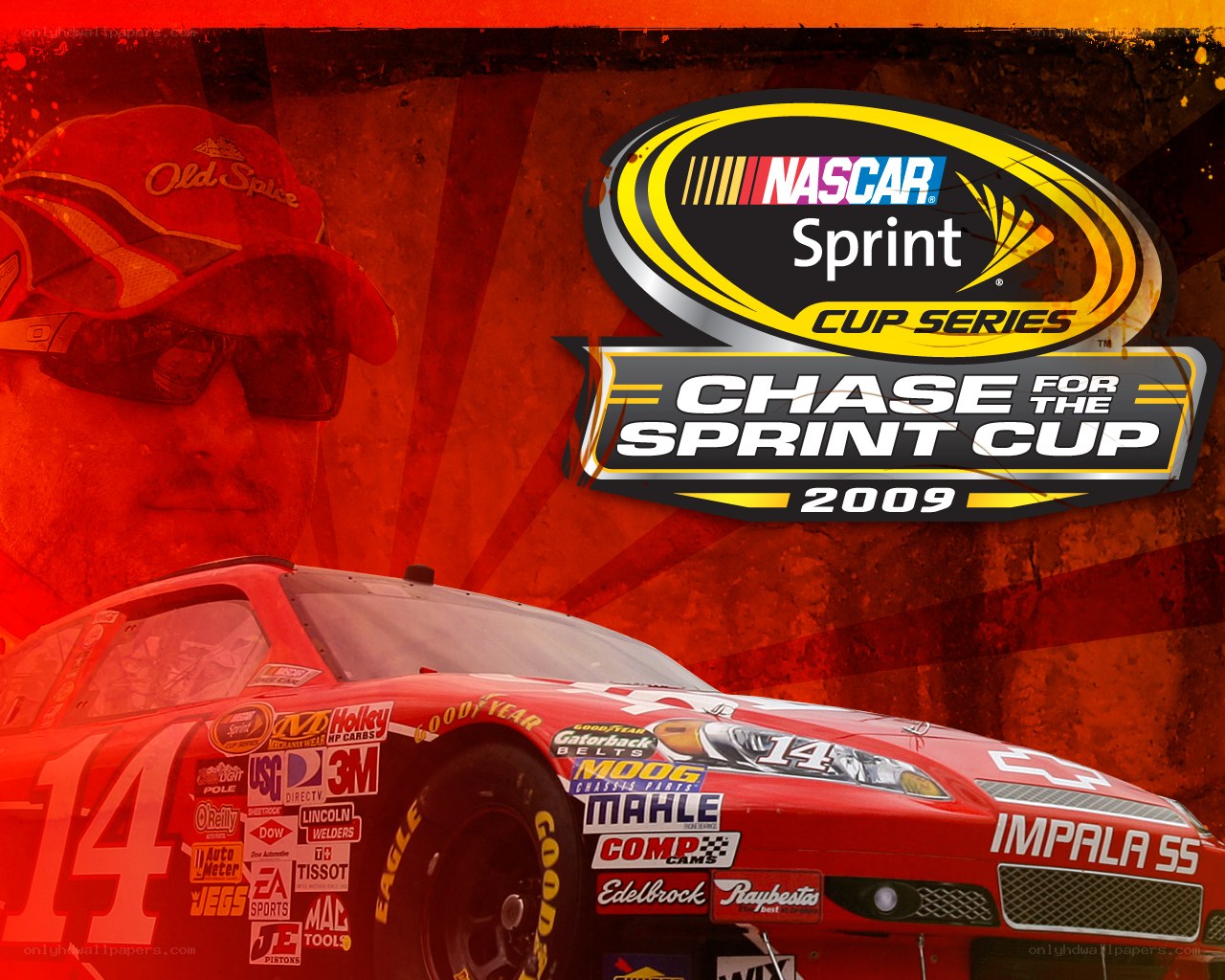 NASCAR Sprint Cup 2009