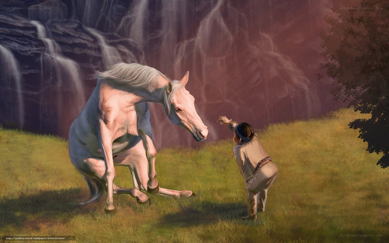 Native American and white horse