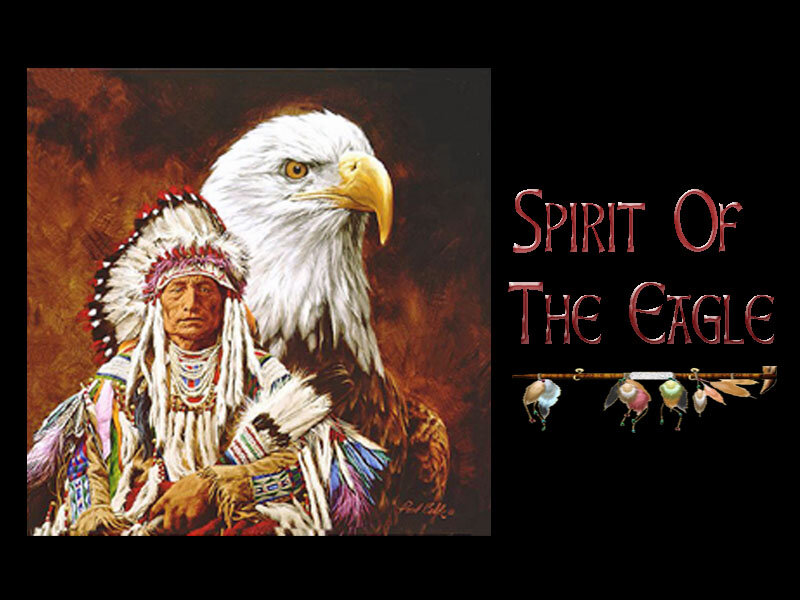 Native American Chief and Eagle — Brown