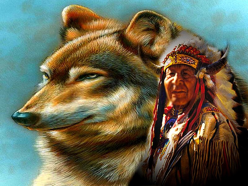 Native American Chief and Wolf