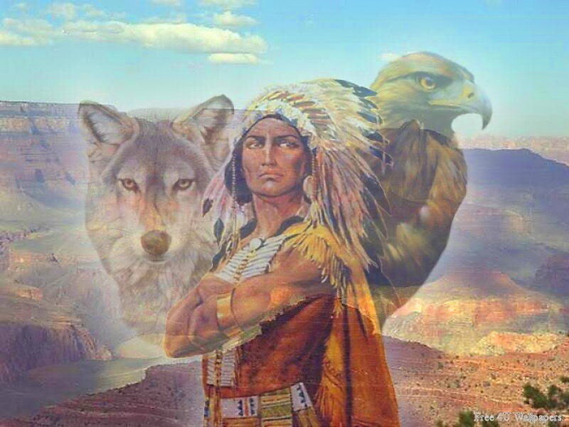 Native American Chief — Brown, Dramatic, Afternoon, Digital Art