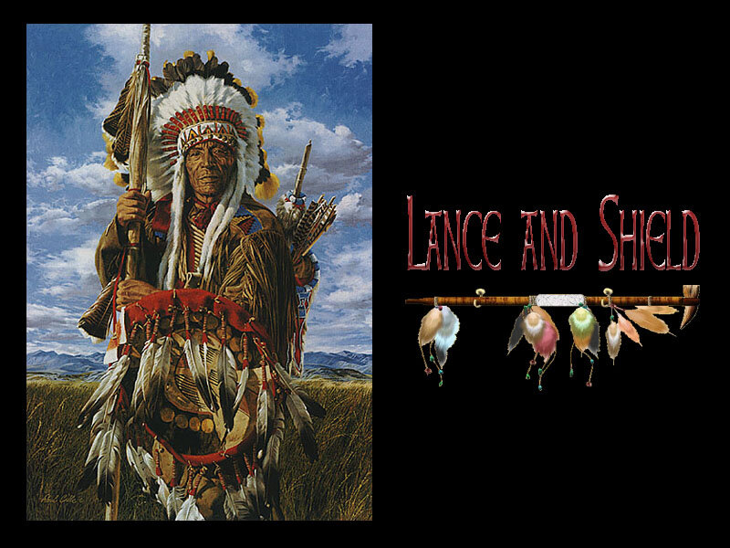 Native American Chief — Brown, Dramatic, Afternoon