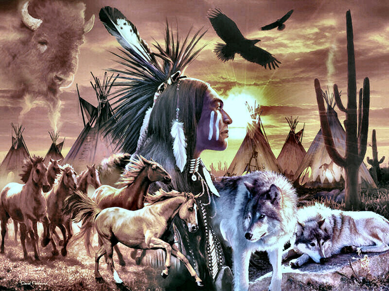 Native American Chief — Brown, Dramatic, Sunset