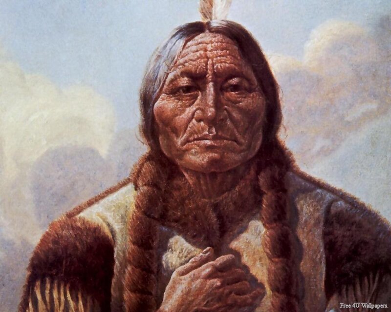 Native American Chief — Brown, Serious, Painting