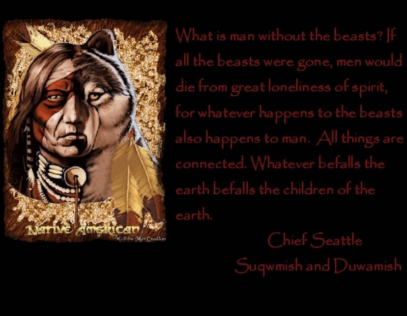 Native American Chief — Brown, Serious
