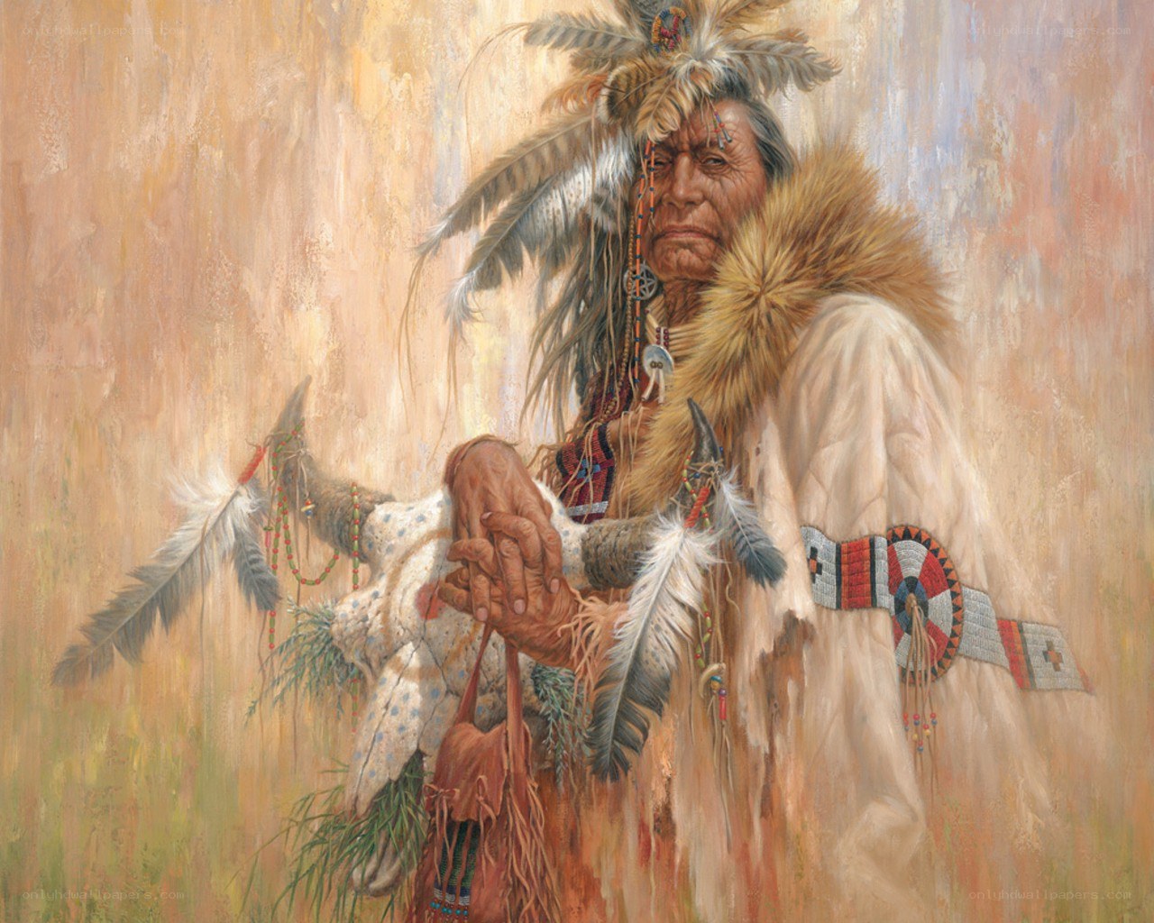 Native American chief portrait