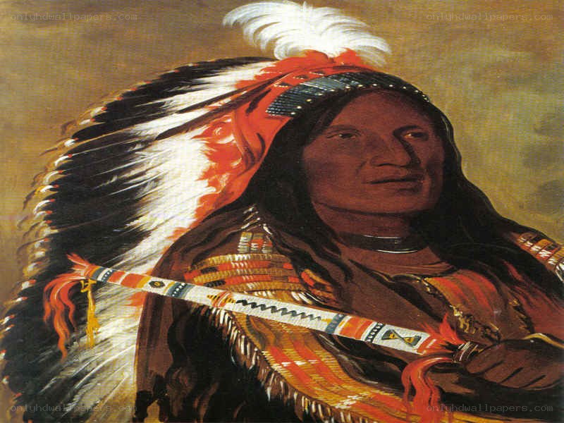 Native American chief portrait