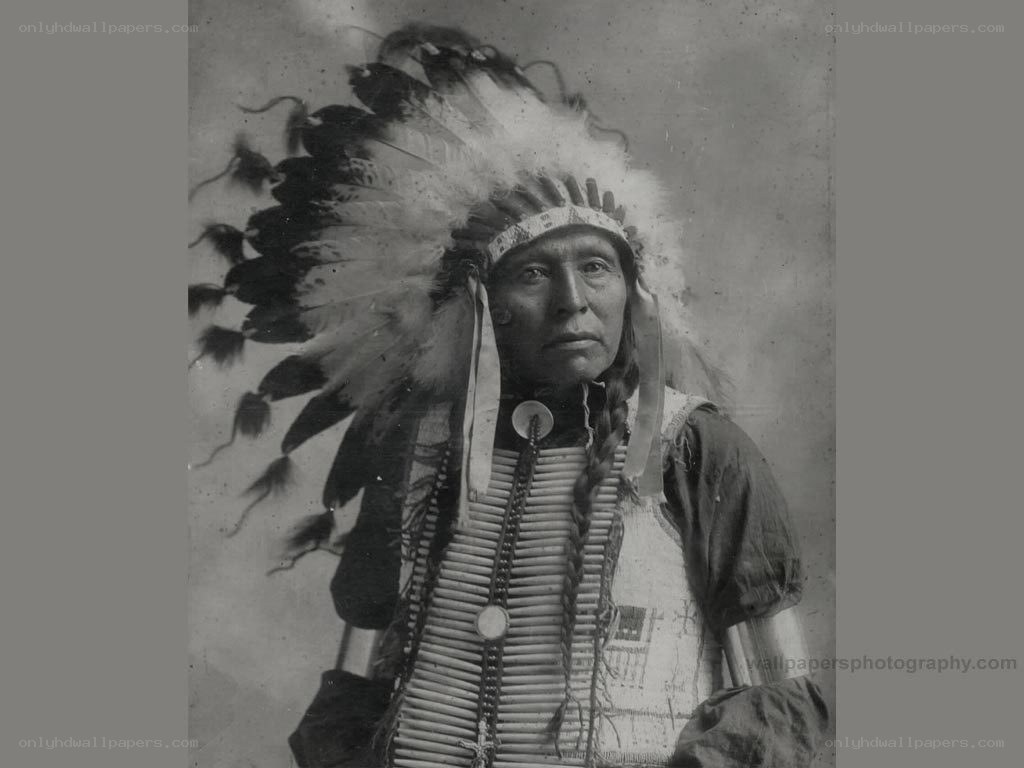 Native American chief portrait