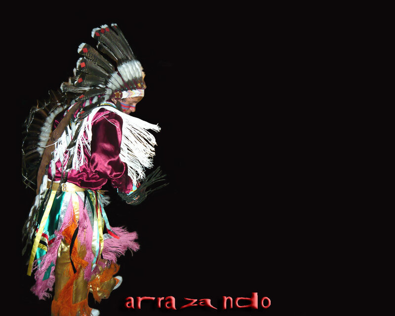 Native American dancer in traditional regalia