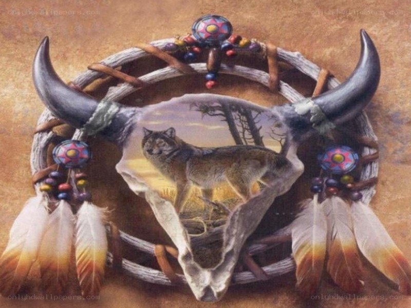 Native American dreamcatcher with wolf