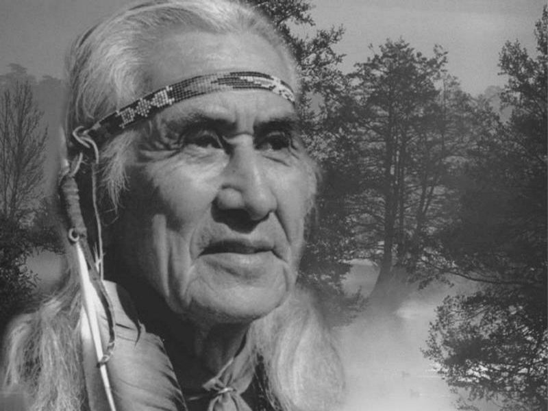 Native American elder portrait
