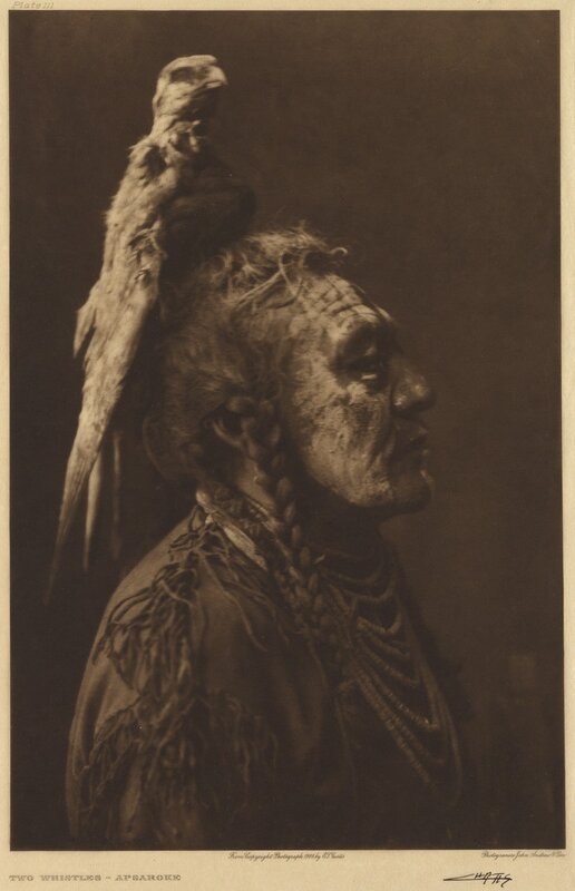 Native American man with bird