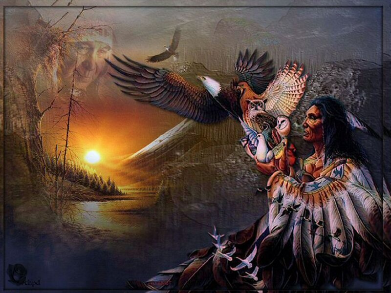 Native American Man with Birds — Brown