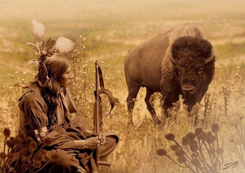 Native American Man with Bison