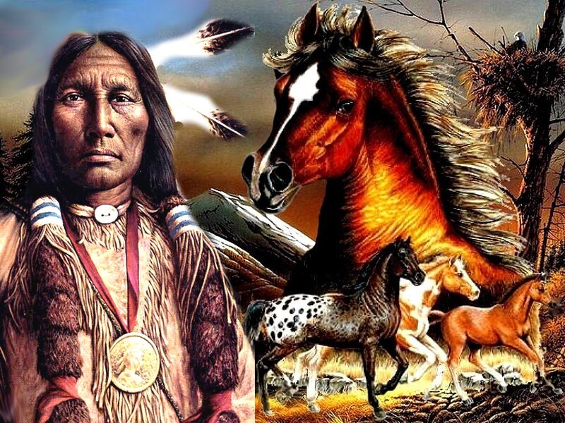 Native American Man with Horses — Brown, Dramatic, Sunset