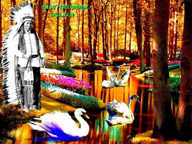 Native American Man with Swans