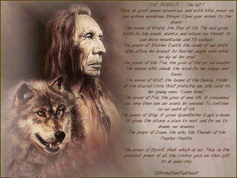 Native American Man with Wolf — Brown, Contemplative